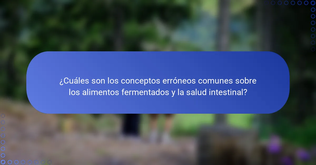 ¿Cuáles son los conceptos erróneos comunes sobre los alimentos fermentados y la salud intestinal?