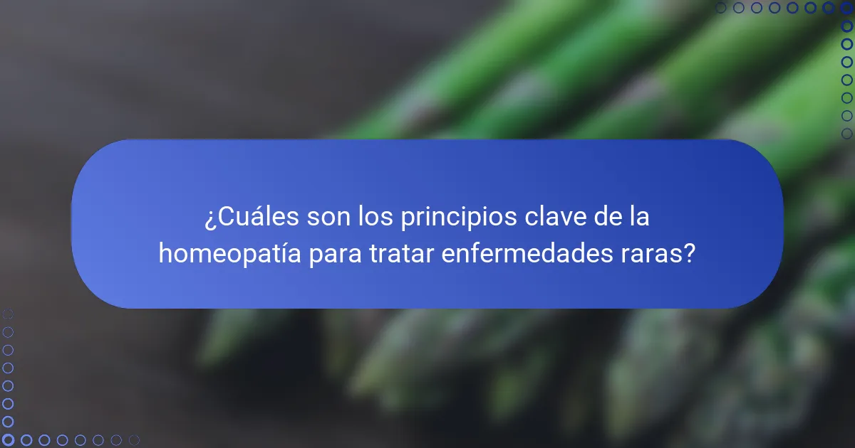 ¿Cuáles son los principios clave de la homeopatía para tratar enfermedades raras?