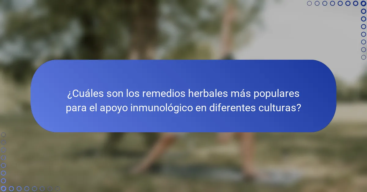 ¿Cuáles son los remedios herbales más populares para el apoyo inmunológico en diferentes culturas?