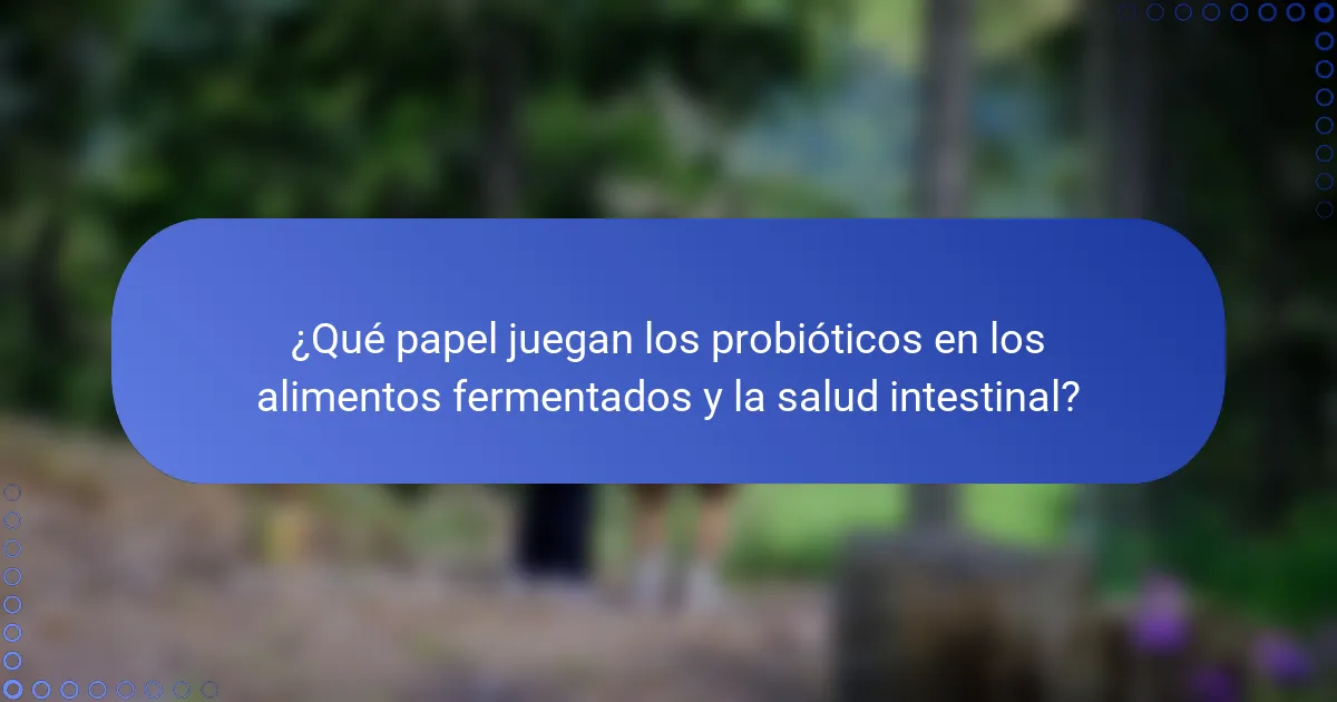 ¿Qué papel juegan los probióticos en los alimentos fermentados y la salud intestinal?
